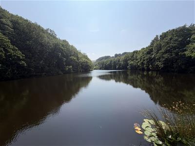 Picture 2